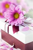 Elegant gift box with daisy flower