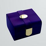 vector watch gift box