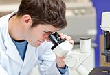 Assertive male scientist looking through a microscope