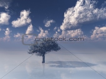Single tree in white with sky
