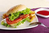 Hamburger with Ketchup