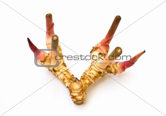 galangal or chinese ginger.