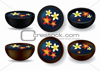 Spa bowls with frangipani flowers - Vector Illustration