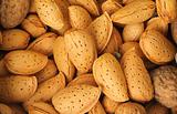 A pile of almond nuts. macro