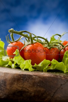 Tomatoes on lettuce