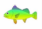 colourful fish