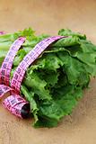 green salad diet with a pink measuring tape