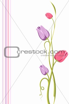 Tulip Floral Background