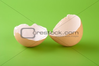 Brown egg shell