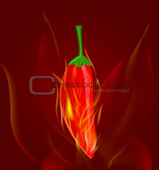 red chili pepper in fire