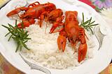 Crayfish meal