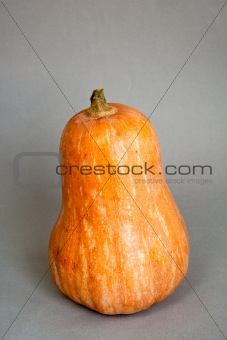 Pumpkin on grey