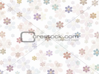 Flowers on white