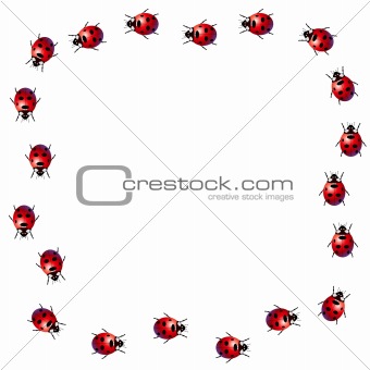 Ladybird frame