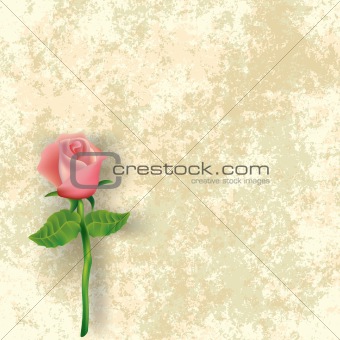 abstract floral illustration with rose on dirty background