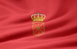 Flag of Navarra - Spain