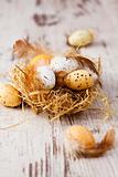 Quail eggs in nest on wood rustic background
