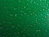 Drops of water on green