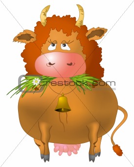 Red cow eats grass