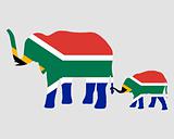 Elephant and baby with flag of south Africa
