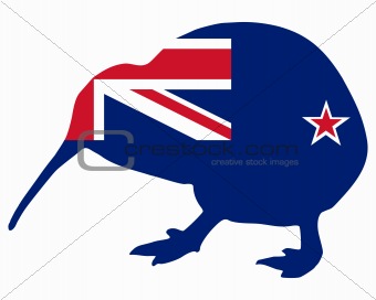 New Zealand kiwi