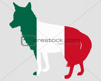Coyote Mexico