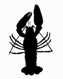 Crawfish silhouette