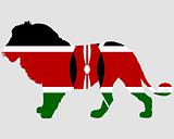 Lion Kenya 
