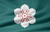 Flag of the japanese province of Saga