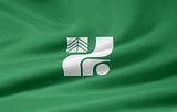 Flag of the japanese province of Tochigi