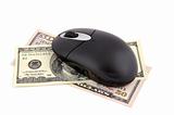 wireless mouse and dollars