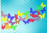 Butterfly`s in blue background