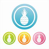 colorful pineapple signs