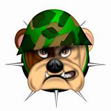 English Bull Dog Head with Army Helmet