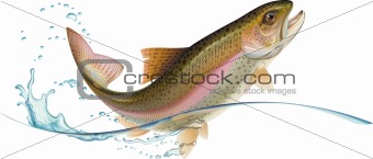 Jumping trout