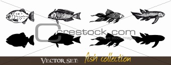 Vector set: Fish collection