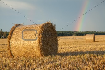 Large hay roll on the field
