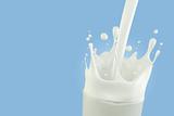 Splashing milk in a glass with light blue background and COPYSPACE