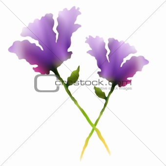 Purple Watercolor Flowers