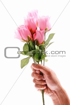 Hand Holding a Half Dozen Pink Roses