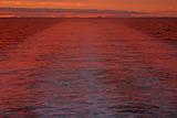 Boat wake and sunset