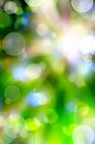 abstract spring green background and light reflect