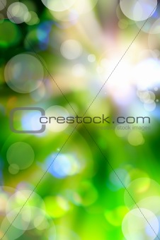 abstract spring green background and light reflect