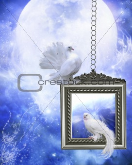 Peace dove