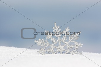 snowflake in snow