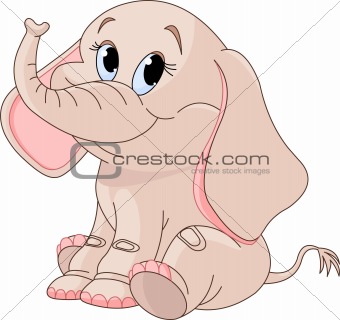 Cute Baby elephant