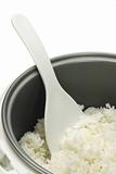 Cooked white rice in cooker pot