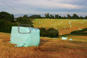 Plastic hay bails landscape