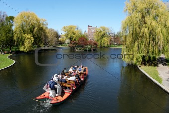 Swan Boat In The Park