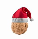 nut in christmas hat